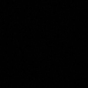 Meet your Posher, Ronnie